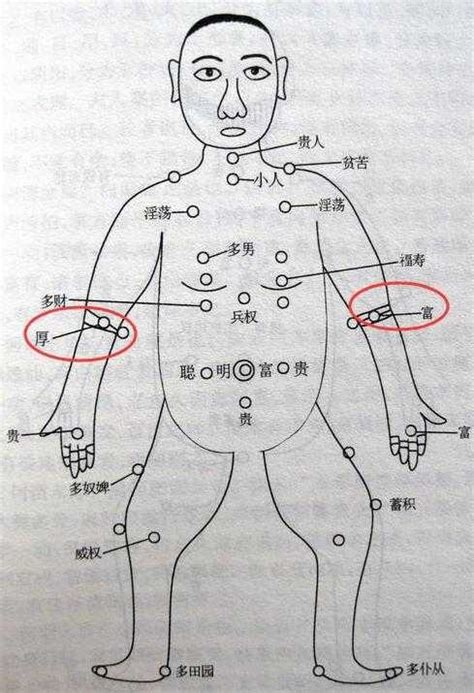 手背上有胎記|胎記位置含義——肚臍、鎖骨、手臂、大腿、背部、胳膊、額頭。